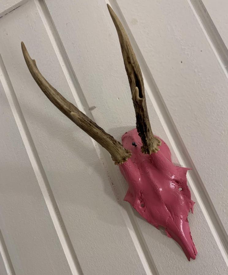 Pinkdeer Apartment Hallstatt Bagian luar foto